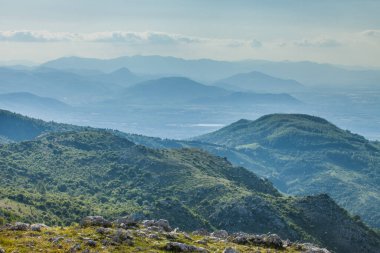 forest and meadows of the mountain valley