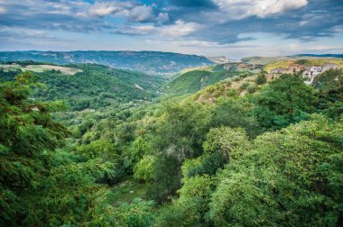 old houses above the forest