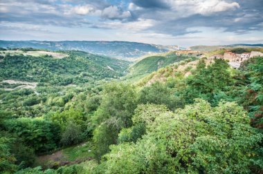 old houses above the forest