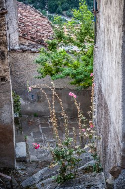 details and alley of the historic center