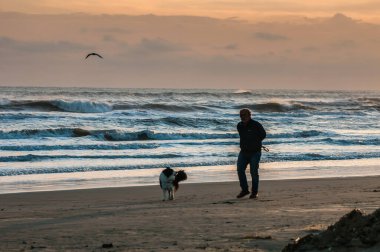 man walking around on the beach at sunrise