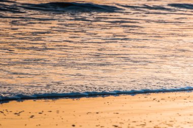 beautiful shore at sunrise, nature