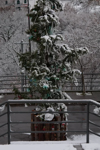 Рождественская Елка Снегом Игрушками Черно Белое Фото — стоковое фото