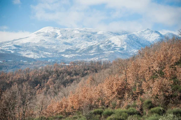 美丽的山在冬天 — 图库照片