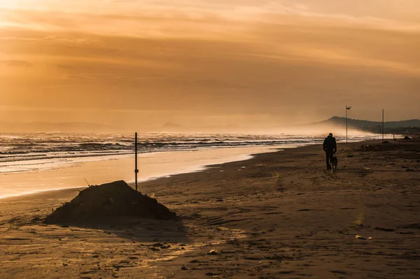 man walking around on the beach at sunrise
