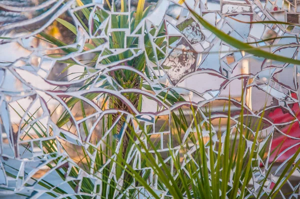 Artistieke Spiegel Reflectie Van Groene Plant — Stockfoto