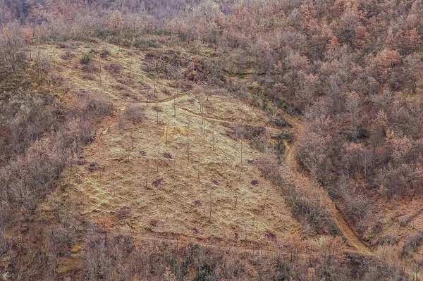Vista Aérea Del Dron Del Lugar Deforestación Las Montañas — Foto de Stock
