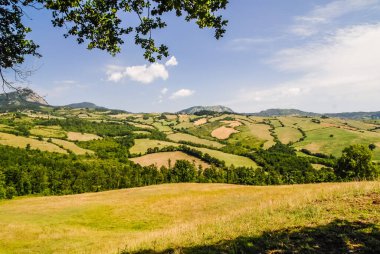 fields cultivated in the hills