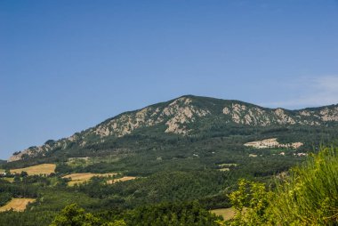 mountain view and woods