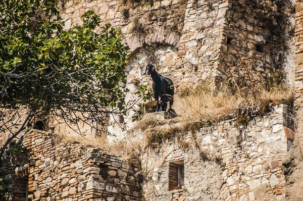 Ruine Der Verlassenen Eingestürzten Stadt Geisterstadt Mittelalterliche Stadt — Stockfoto