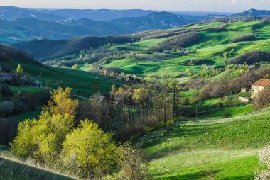 fields in the hills cultivated at sunset