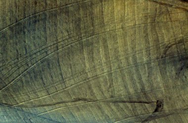 fields in the hills cultivated at sunset