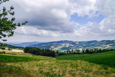 fields in the hills cultivated at sunset