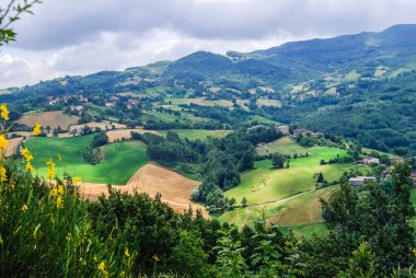 fields in the hills cultivated at sunset