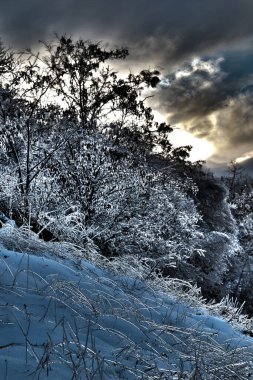 winter landscape, snowy landscape, Christmas atmosphere