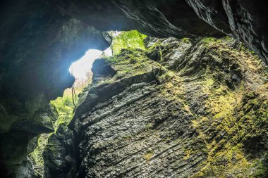 Ravine, precipice in the forest, crevice in the forest, dangerous forest, mountain pass, dangerous mountain pass
