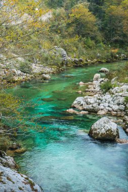 Isonzo green river, emerald water, colored water, colored river, mountain river, river wallpaper