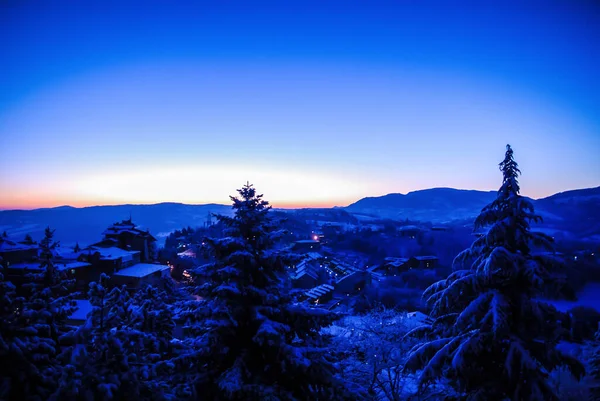 Dawn Blizzard Winter Landscape Snowy Landscape Christmas Atmosphere — Stok fotoğraf