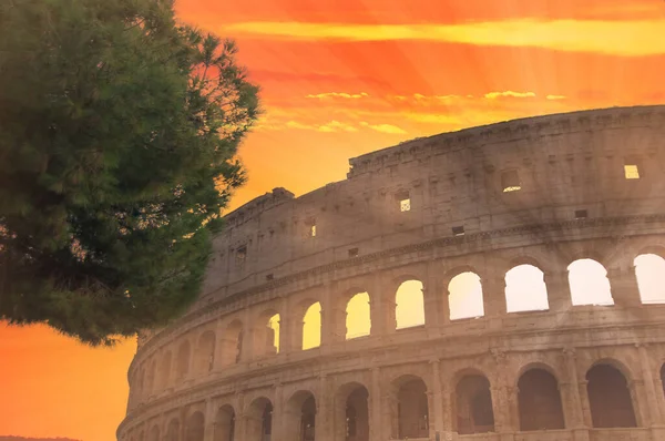Coliseum Flavio Amphitheater Rome — Foto Stock