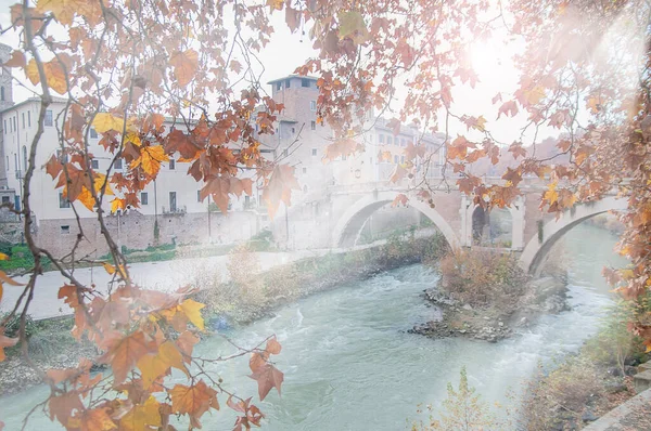 Lungotevere Rome Tree Lined Avenue Sides River — 图库照片