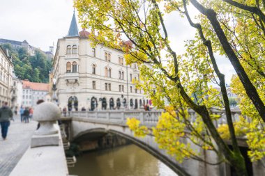 Ljubljana 'nın tarihi merkezinde ünlü binalar ve sokaklar