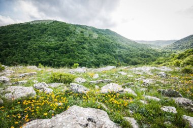 Baharda dağların güzel manzarası 