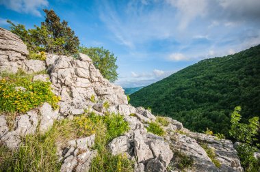 Baharda dağların güzel manzarası 