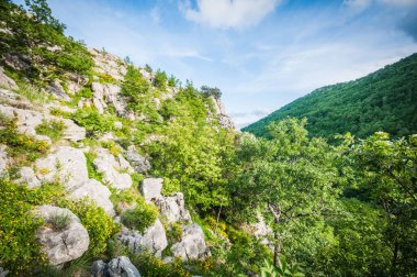 Baharda dağların güzel manzarası 