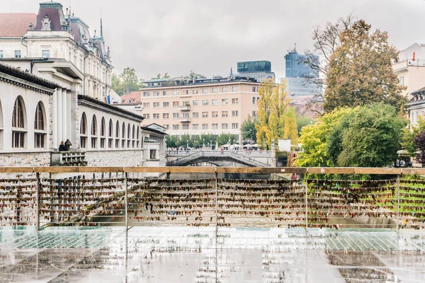 Liebesschlösser Auf Der Brücke Der Stadt Ljubljana — Stockfoto