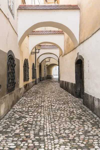 Маленькі Вулиці Арки Центрі Любляни Історичні Вулиці Пам Ятники — стокове фото