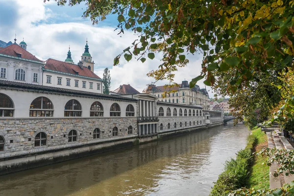 Kanał Lublański Most Kolorowe Fasady Budynków — Zdjęcie stockowe