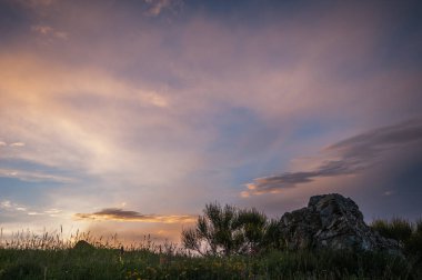 turuncu gün batımı ve bahar çayırı