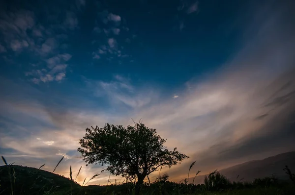 stock image orange sunset and  spring meadow