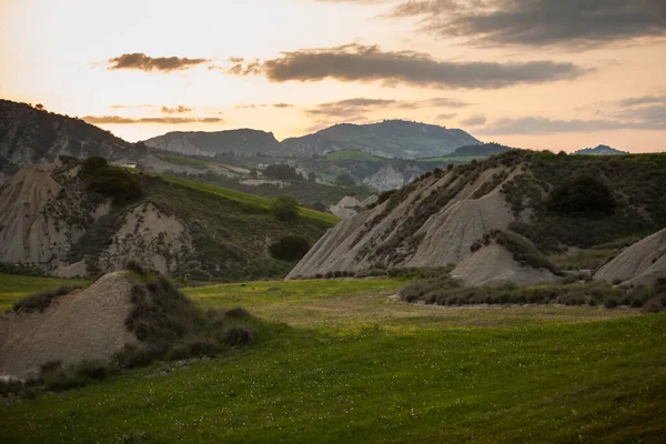 Baharda çorak topraklarda açan çayırlarda gün batımı baharda sarı çayırlar