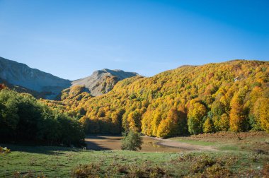 Sonbahar döneminde orman ve göl, tam yeşillik içinde, sonbahar döneminde orman ve göl ile dağ vadisi.
