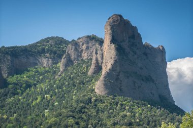 Ormandaki dağın tepesinde.