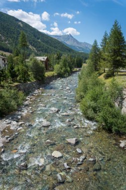 Alp deresi vadiden ve ormandan akıyor.