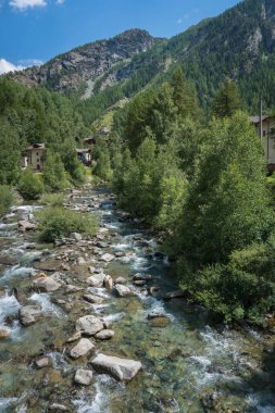 Alp deresi vadiden ve ormandan akıyor.