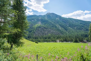 Tepeleri, buzulları ve otlakları gören dağ vadileri