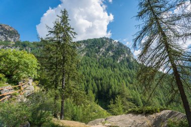 Tepeleri, buzulları ve otlakları gören dağ vadileri