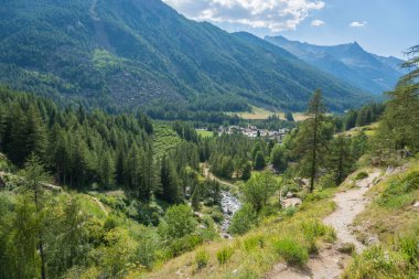 Alp deresi vadiden ve ormandan akıyor.