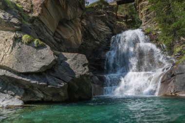 Kayaların arasında akarak Alp Şelalesi oluşturur.
