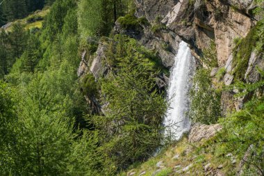 Kayaların arasında akarak Alp Şelalesi oluşturur.