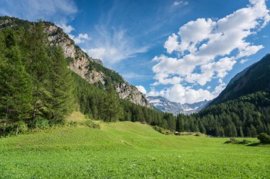Tepeleri, buzulları ve otlakları gören dağ vadileri