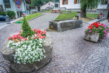 Şehir dekorasyonu için vazolar