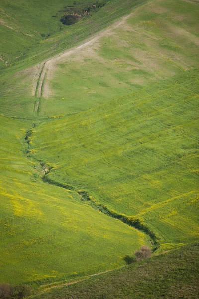 Земли Обработанные Весенними Цветами Сельскохозяйственные Угодья Обработанные Весной — стоковое фото