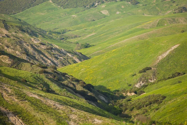 Βουνά Που Καλλιεργούνται Ανοιξιάτικα Άνθη Γεωργικές Εκτάσεις Που Καλλιεργούνται Την — Φωτογραφία Αρχείου