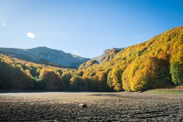 Les Jezero Podzimním Období Plném Listoví Horské Údolí Jezerem Lesem — Stock fotografie