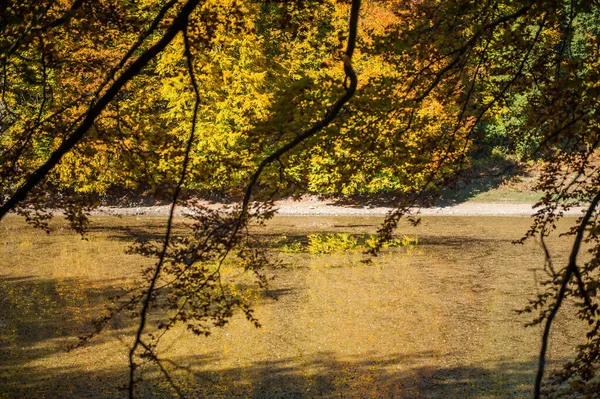 가을에는 호수가 잎으로 자라고 가을에는 호수와 잎으로 뒤덮여 — 스톡 사진