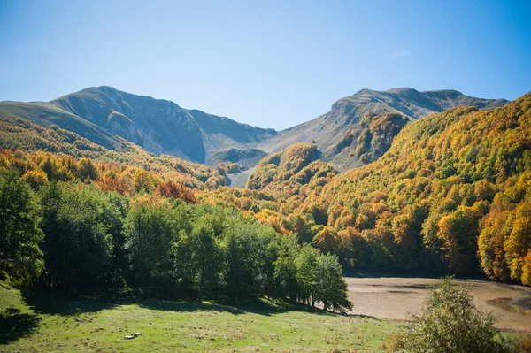 Les Jezero Podzimním Období Plném Listoví Horské Údolí Jezerem Lesem — Stock fotografie